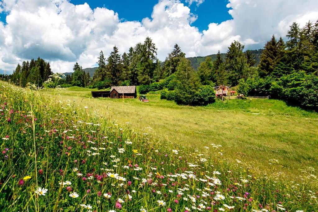 Gaestehaus Biobauernhof Mandl มูเรา ภายนอก รูปภาพ