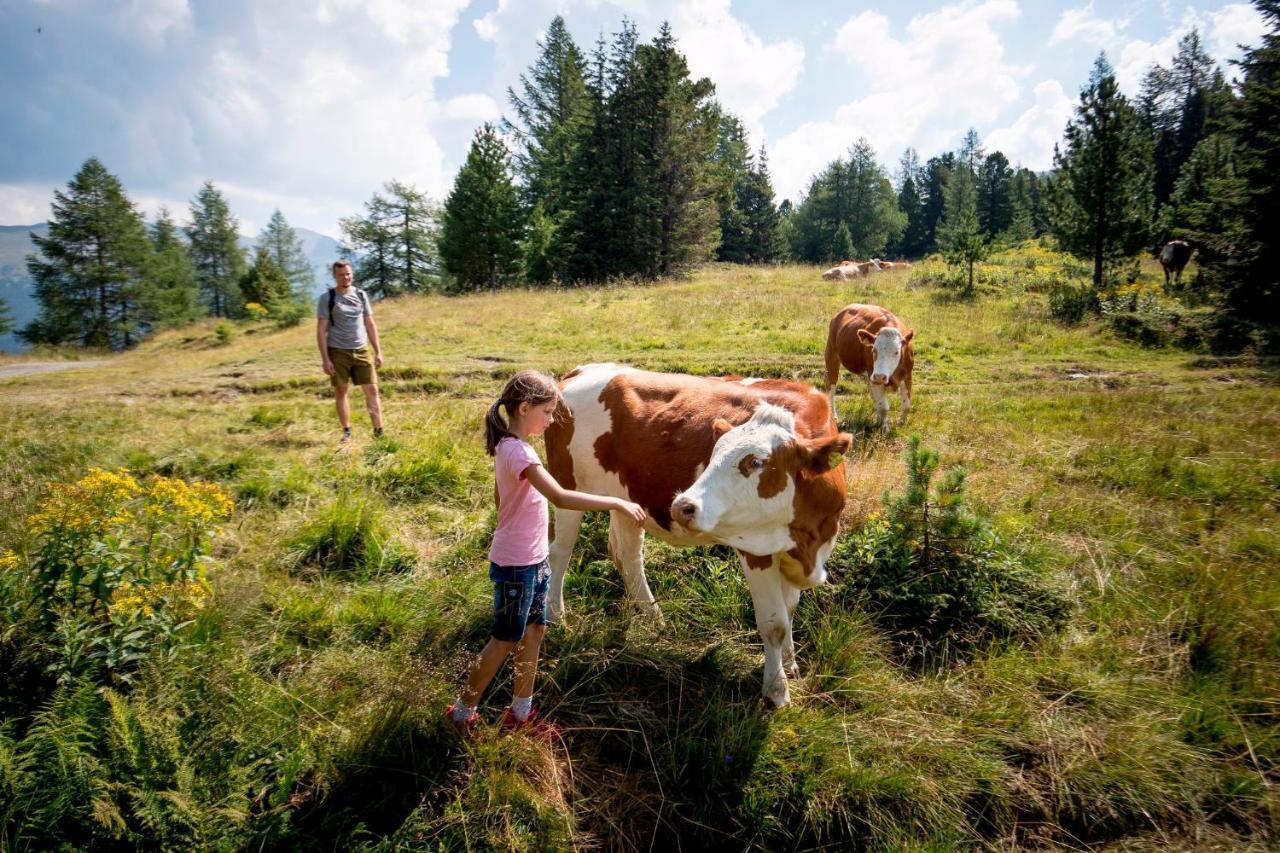 Gaestehaus Biobauernhof Mandl มูเรา ภายนอก รูปภาพ